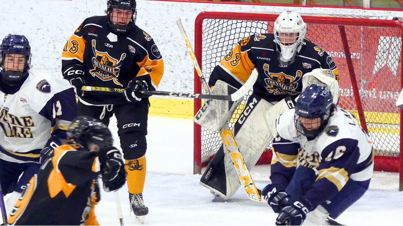 Les Chevaliers continuent leur envolée