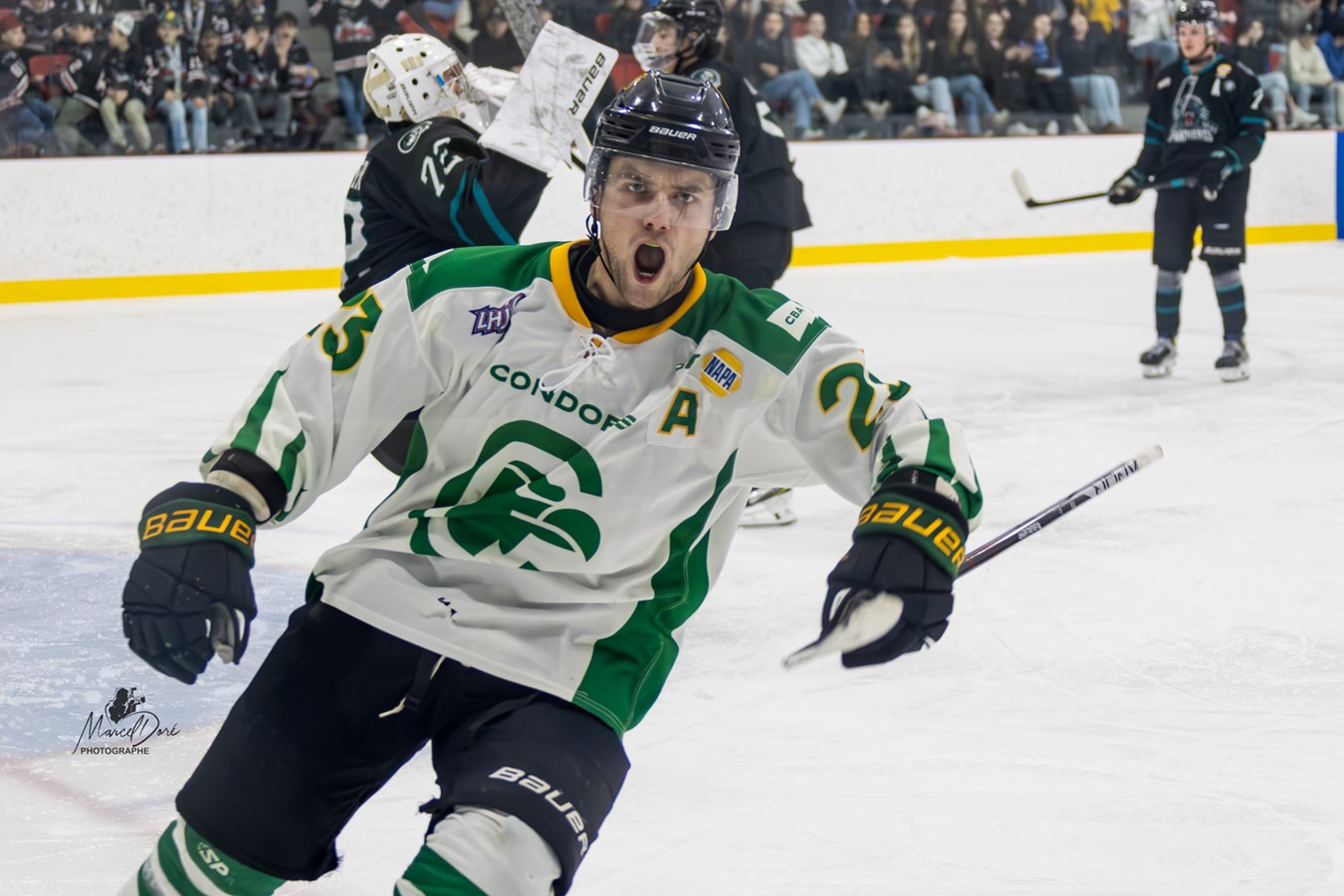 Les Condors débutent les séries de la meilleure des manières