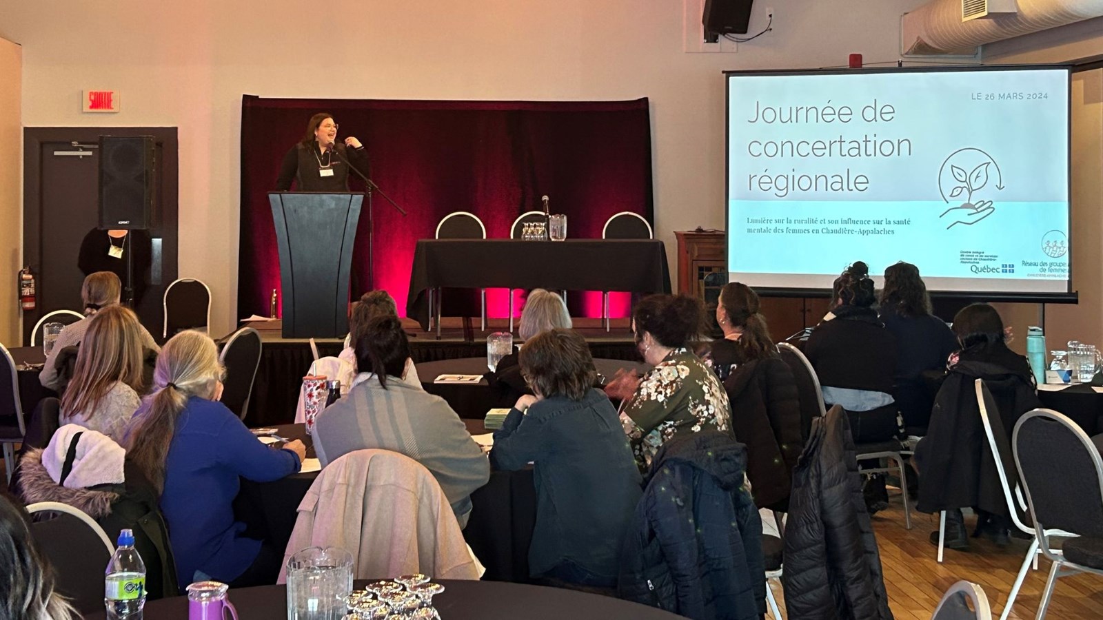 Lumière sur la ruralité et son influence sur la santé mentale des femmes