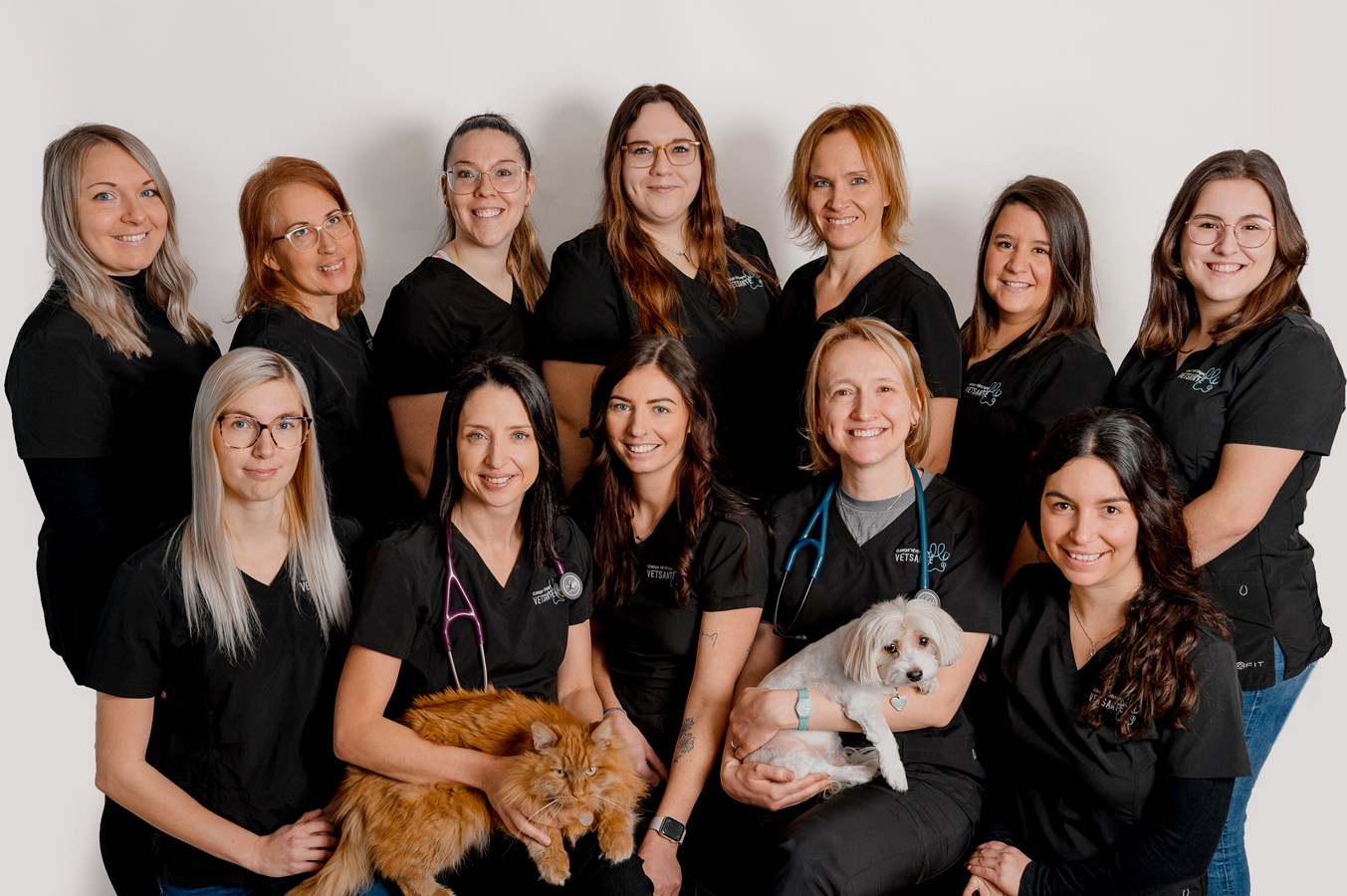 Bienvenue à la Clinique Vétérinaire Vetsanté ! 