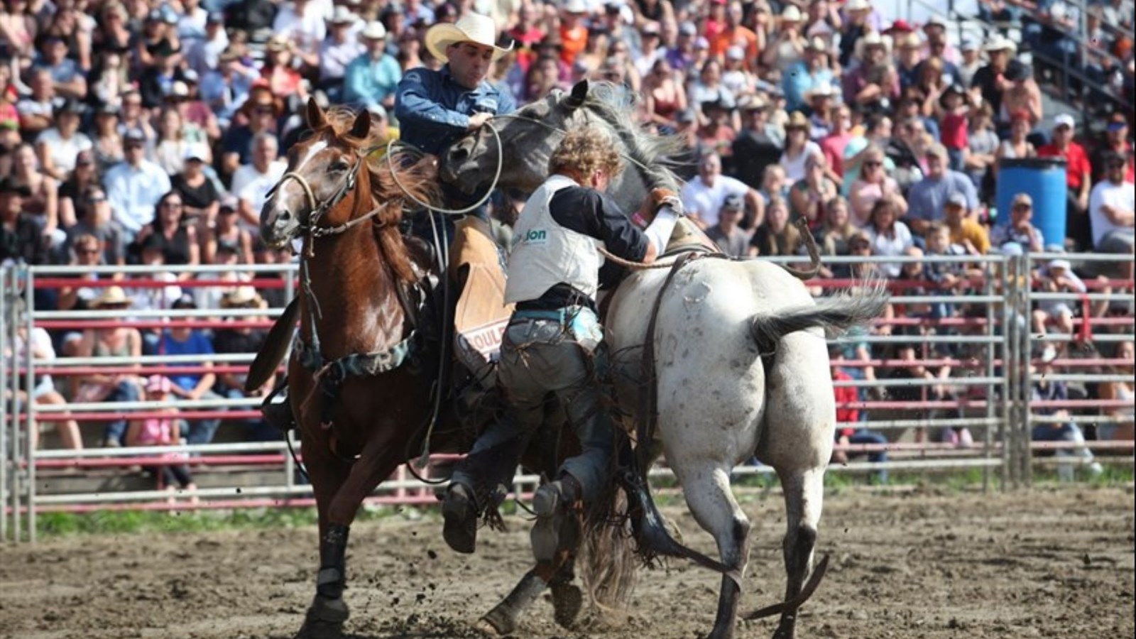 Sept festivals incontournables cet été en Beauce