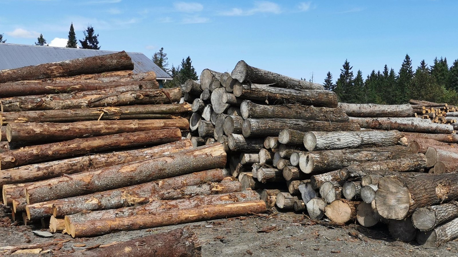 Vote massif de grève dans deux scieries de la région