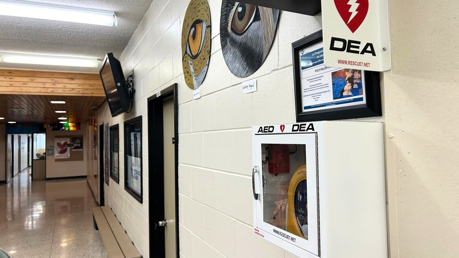 Des défibrillateurs externes automatisés dans toutes les écoles du Québec