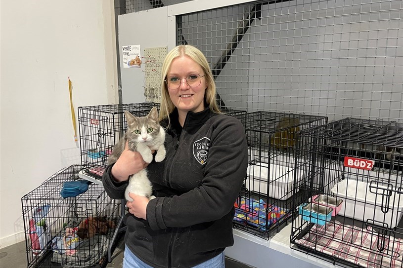 Escouade Canine MRC: la directrice générale démissionne