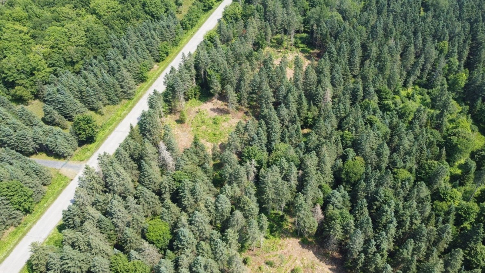 Les entreprises invitées à emboîter le pas à Plantation Mirage