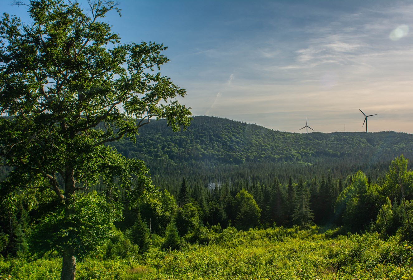 Plus de 211 000 $ octroyés pour des projets etcheminois