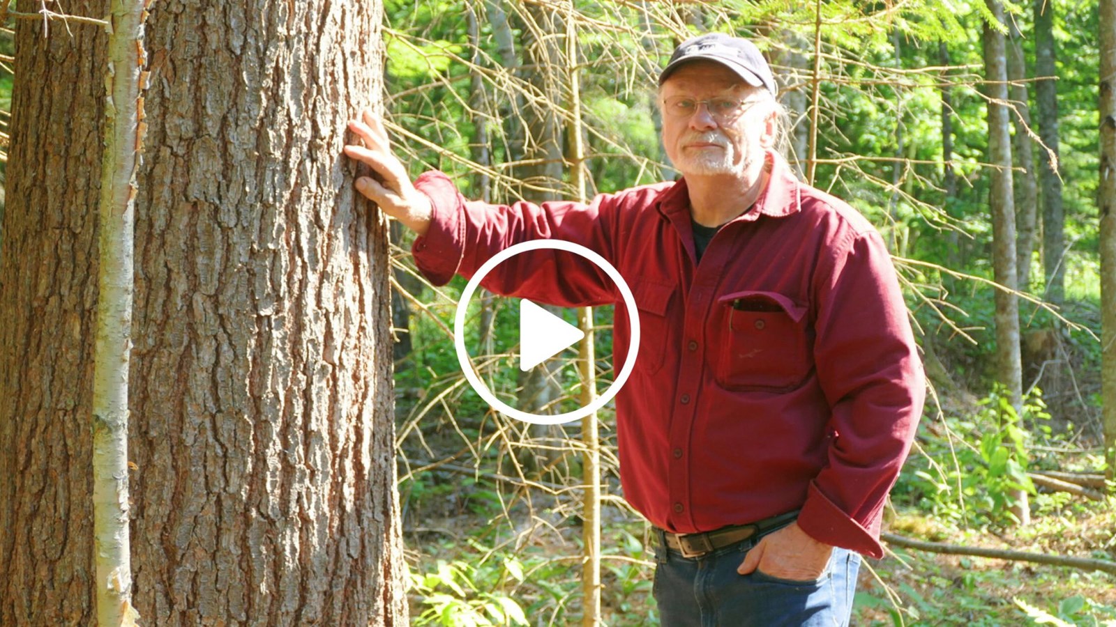 Yvan Bélanger témoigne des services du Groupement forestier Beauce-Sud Inc.