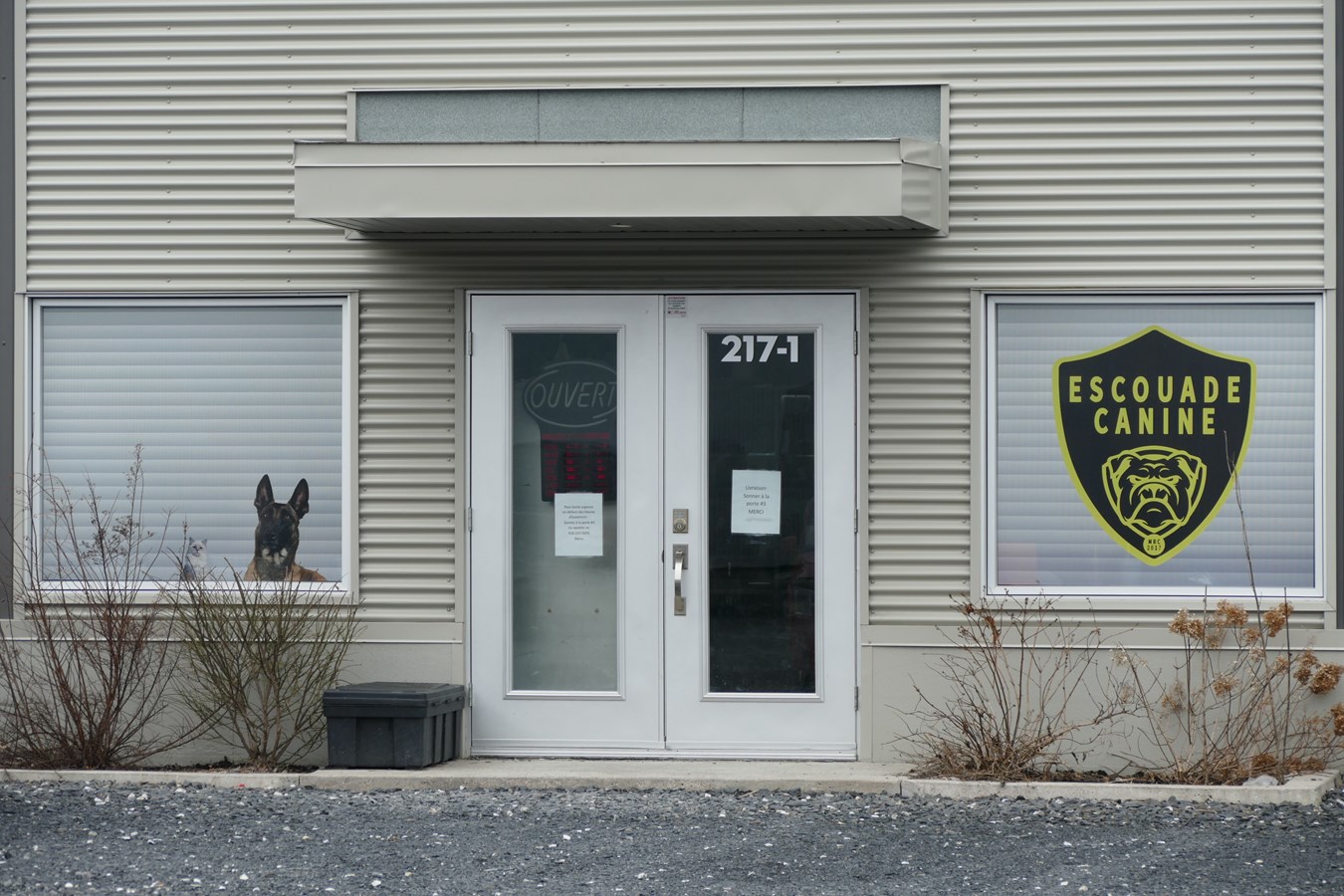L'Escouade Canine MRC expulsée de ses locaux de Beauceville