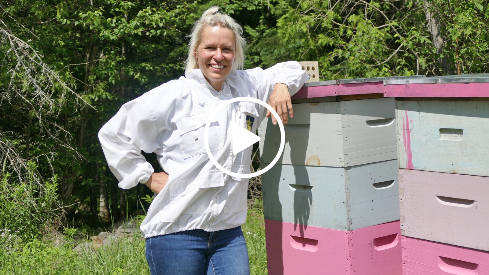 Apiculture : un métier entre passion et défis permanents