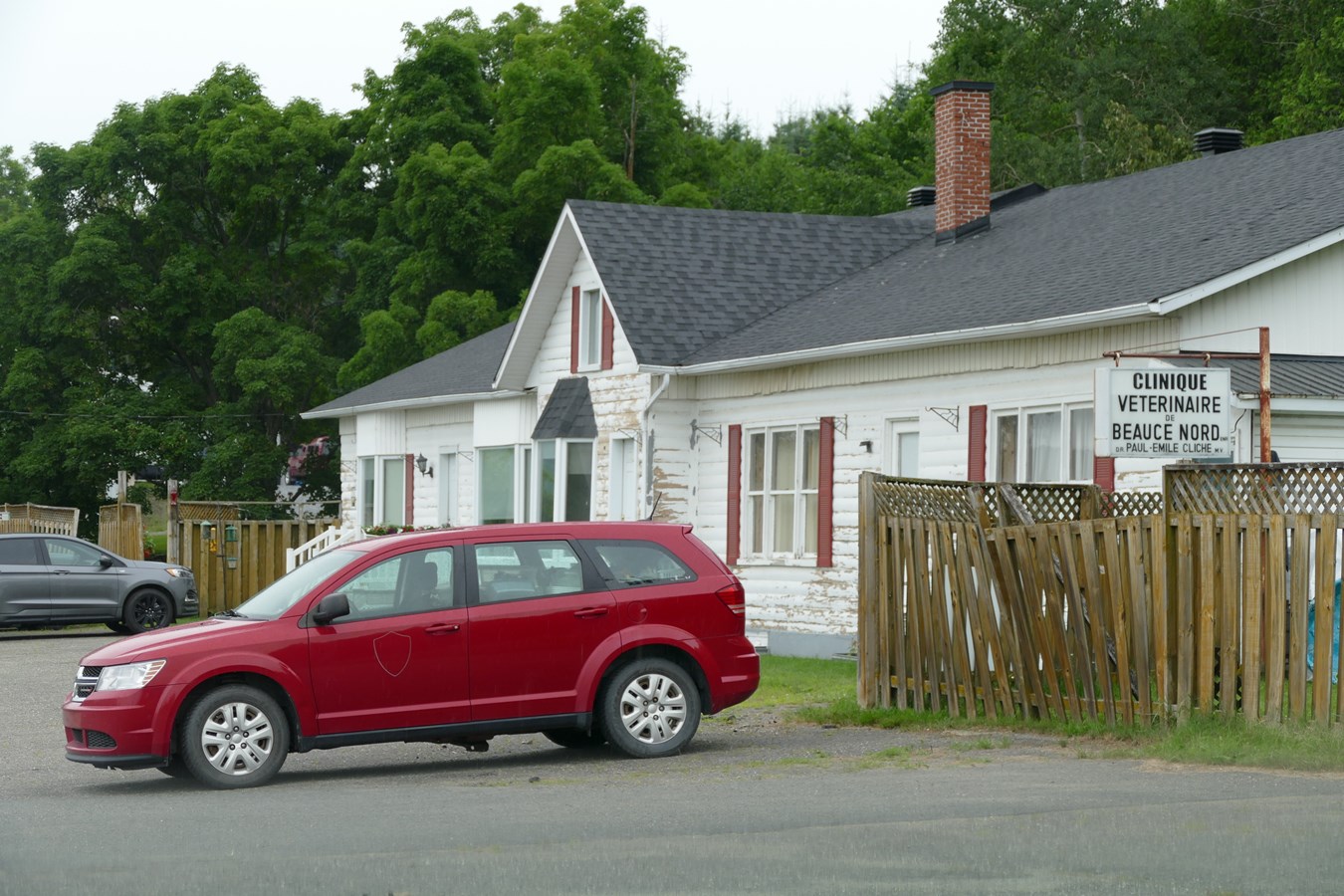 Plusieurs municipalités confient leur gestion animalière à la conjointe du propriétaire de l'Escouade Canine