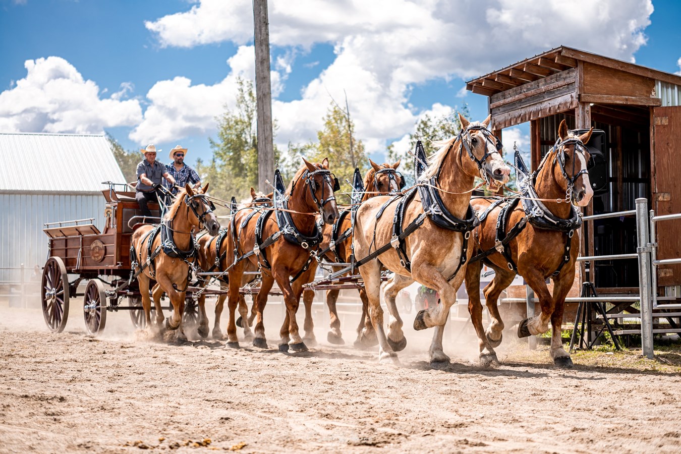 La 58 édition de l’Exposition agricole de Beauce s'ouvre aujourd'hui