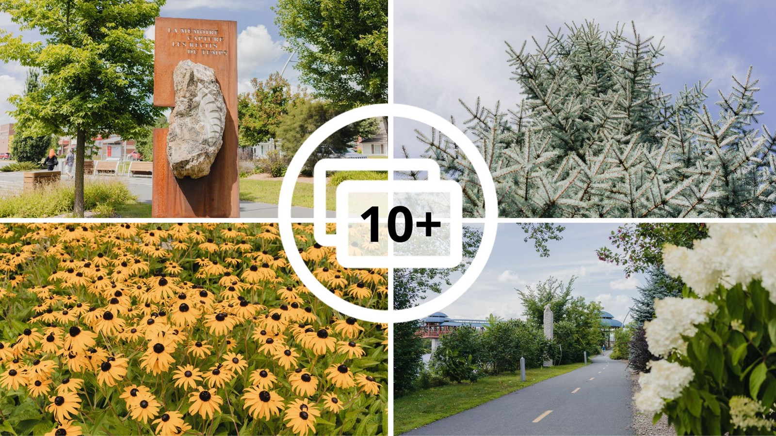 Promenade fleurie à Saint-Georges