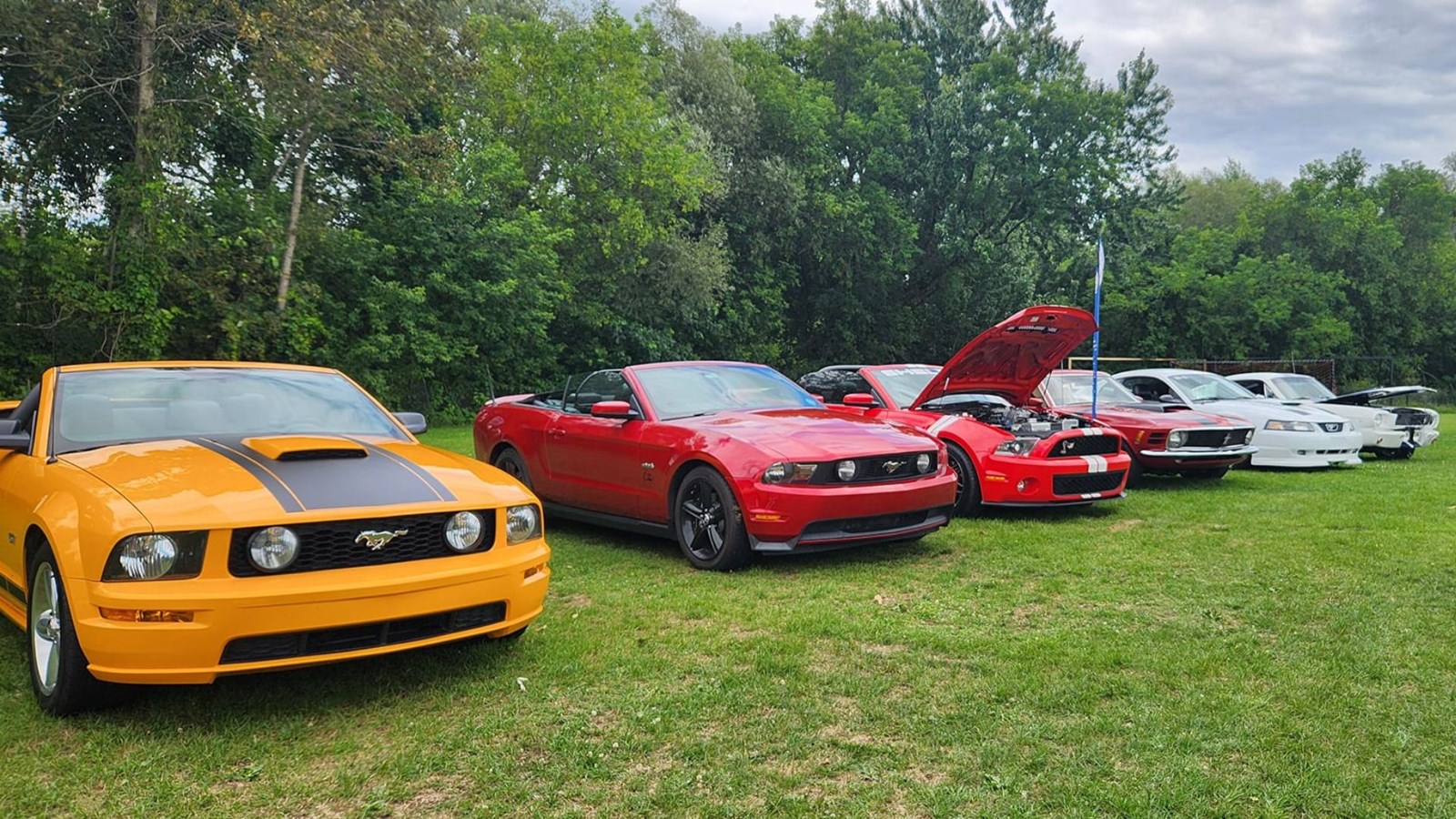 Une centaine de Mustang au 5e rendez-vous de Vallée-Jonction