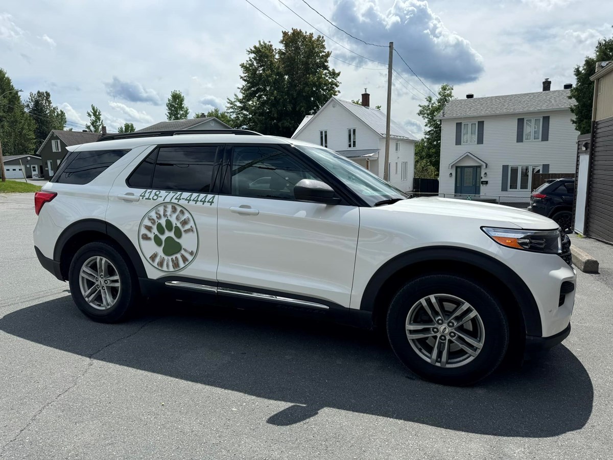 Gestion animalière : la Ville de Sainte-Marie choisit finalement Passeport Animal