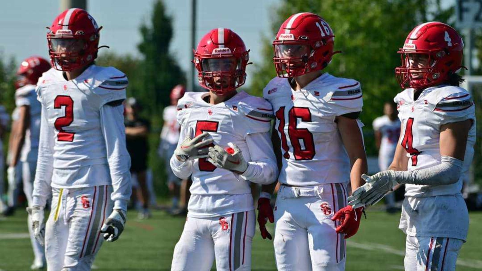 Football : les Dragons s'inclinent lourdement pour leur premier match