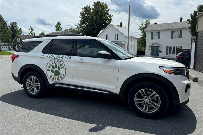 Lac-Etchemin se tourne vers Passeport Animal pour sa gestion animalière