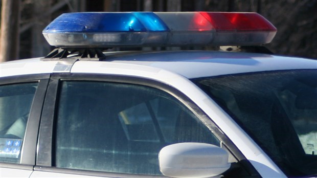 Saisie d'armes et de cigarettes de contrebande dans un véhicule