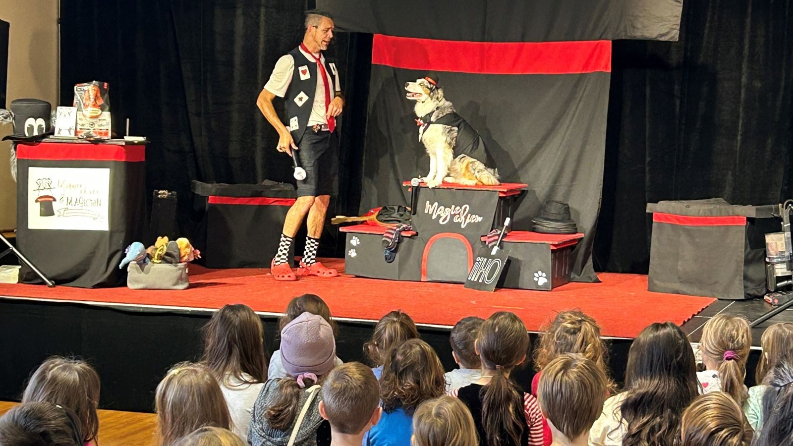 Une salle comble pour les «magie-chiens»