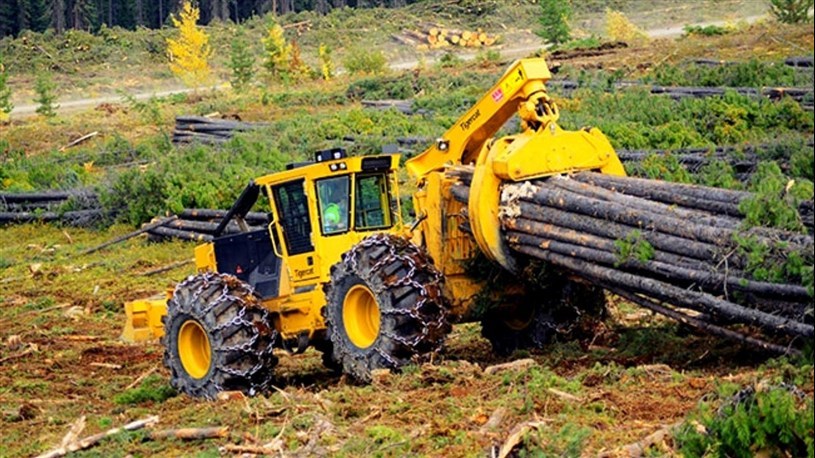 Consultation publique sur le plan d'aménagement forestier 