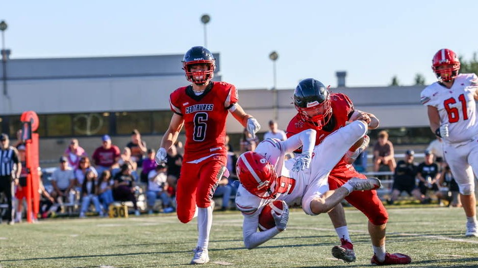 Les Dragons blanchis par les Centaures 