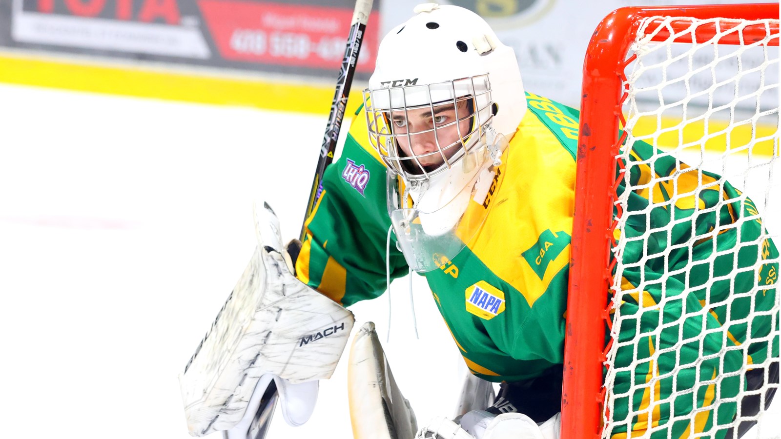 Les Condors hockey dominent à nouveau Granby 