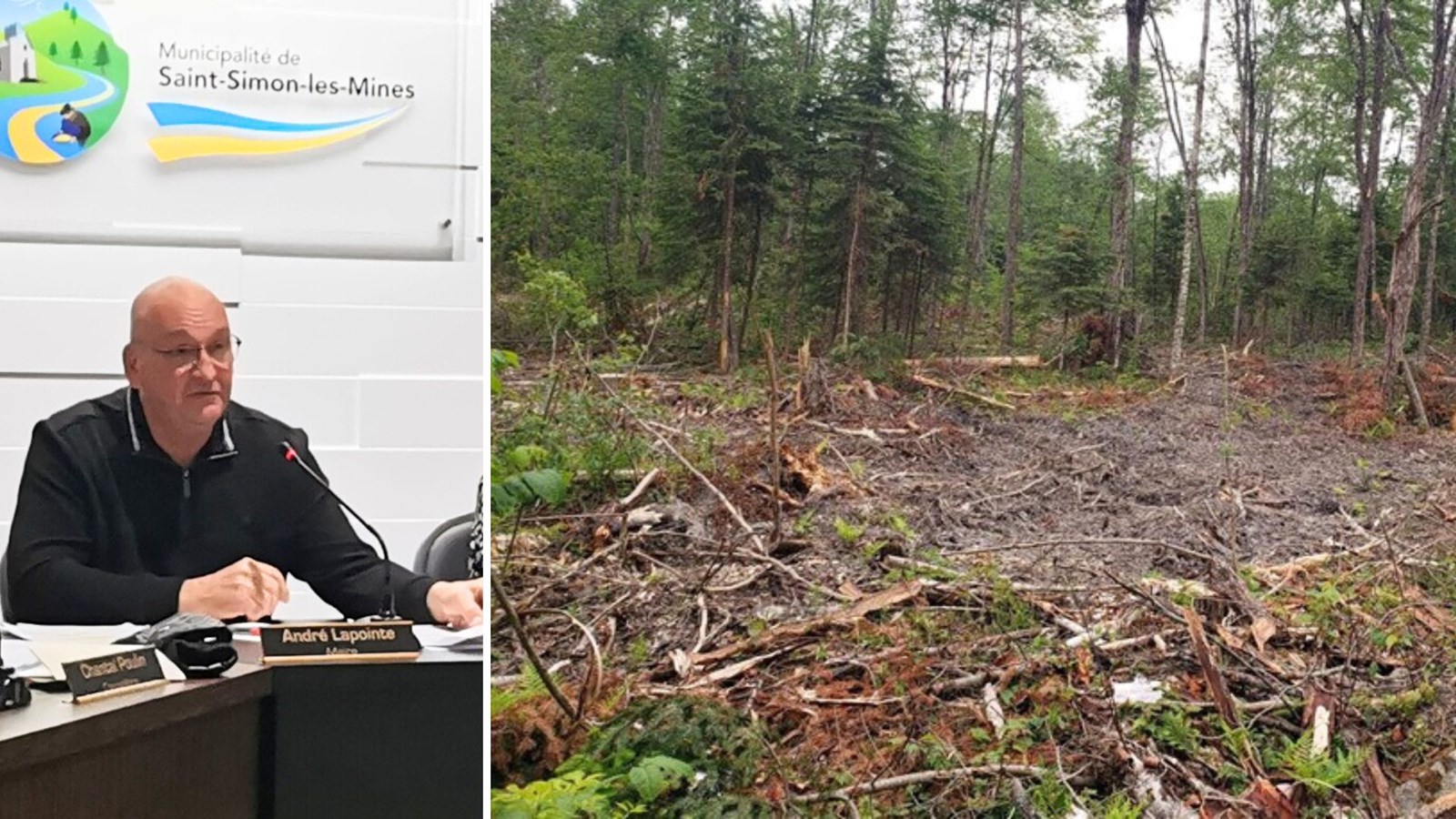 Lots forestiers du secteur Chaussegros: gel des aménagements dans un avenir immédiat