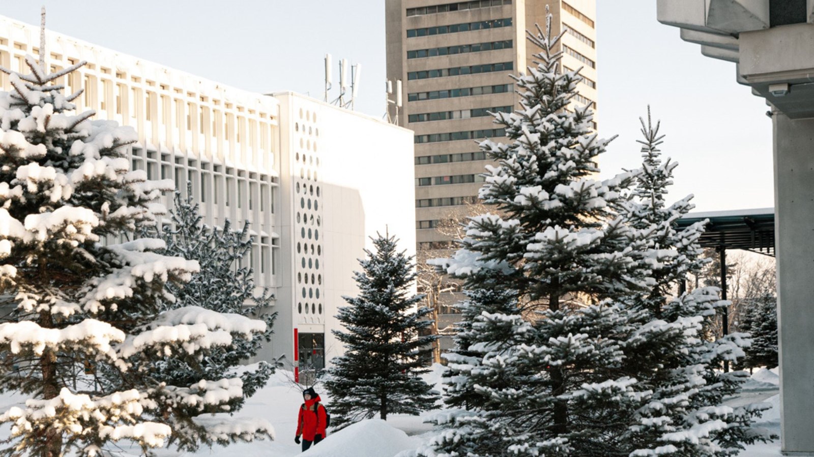 Les demandes d'admission d'étudiants internationaux dans les universités s'affaissent