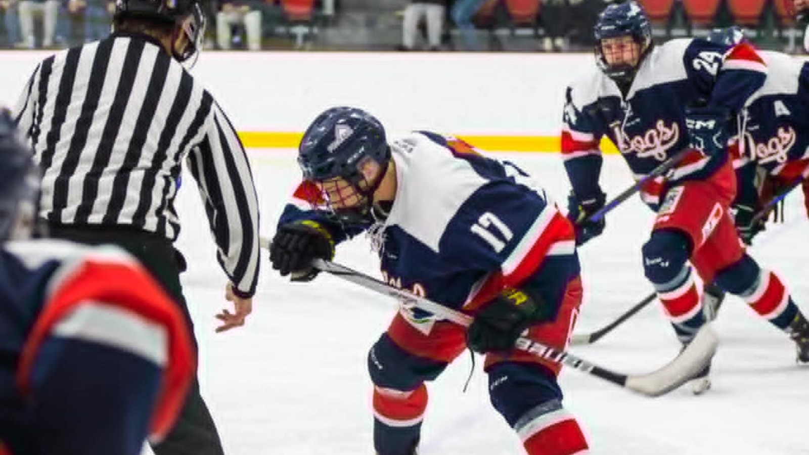 Les Beaucerons assomment les Bulldogs