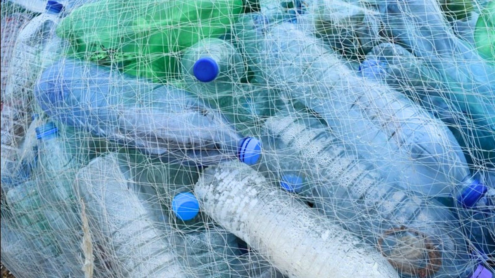  Les contenants de boisson en plastique sont maintenant consignés