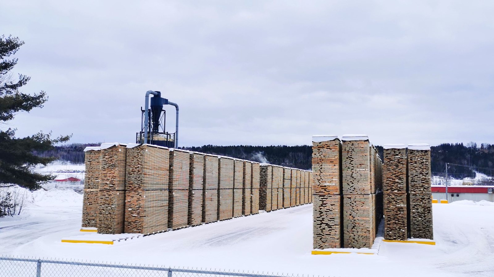 Trump ordonne une enquête sur l'importation de bois d'œuvre canadien