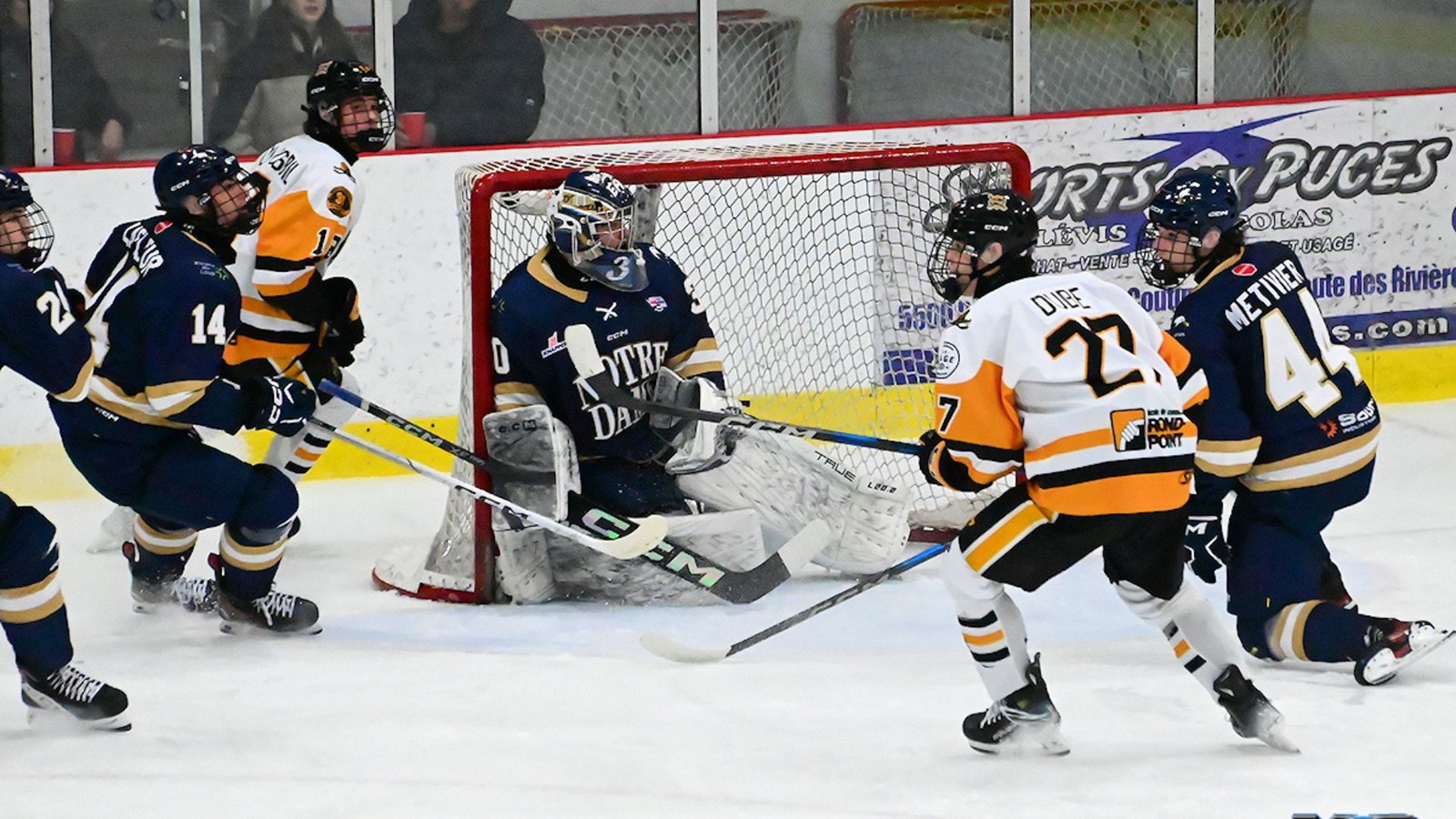 Victoire des Chevaliers devant une salle comble 