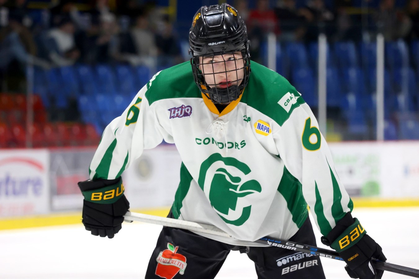 Les Condors s’inclinent à Terrebonne, la série est maintenant égale