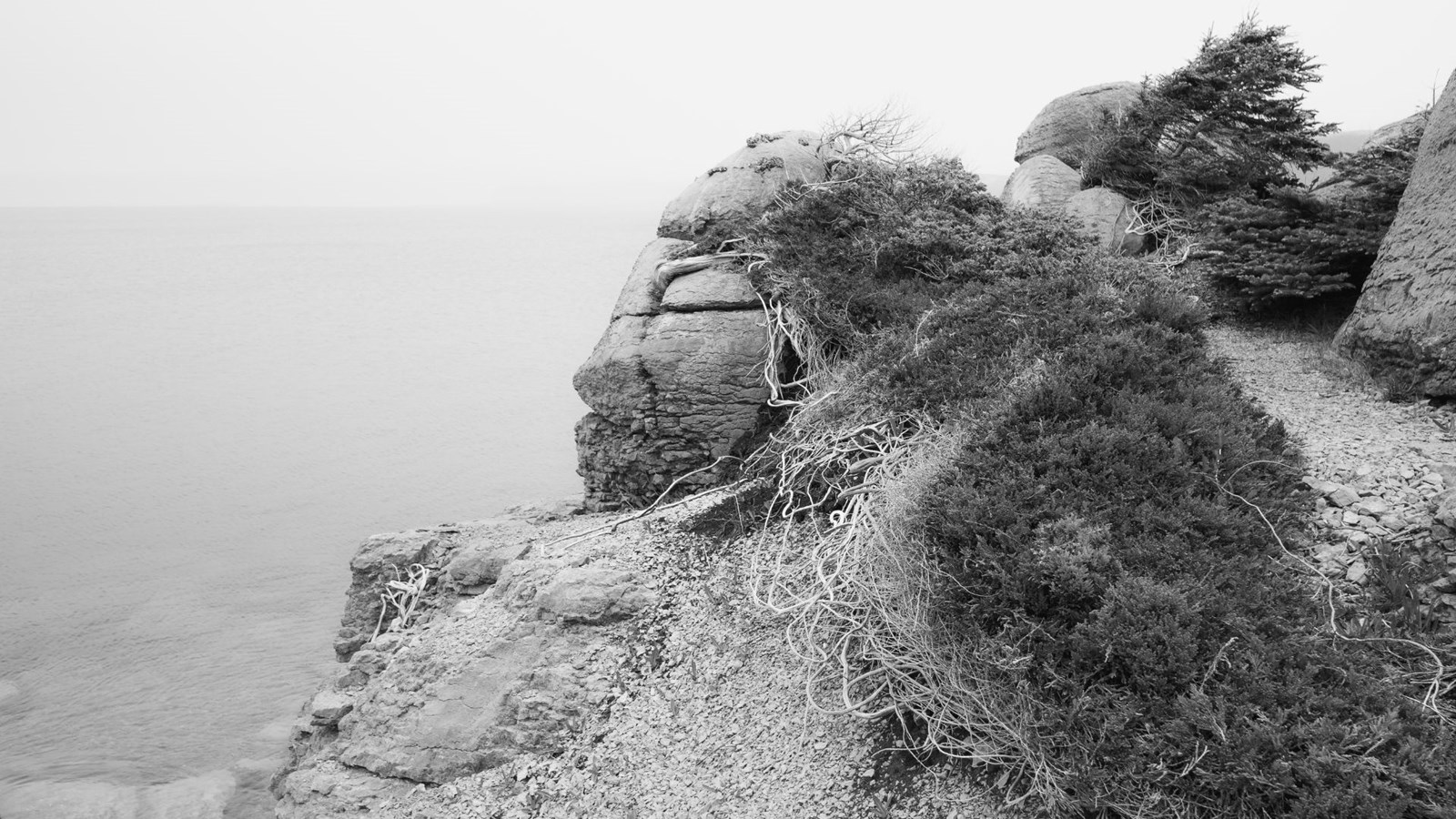 Exposition «Force et résilience» au Marius B. Musée