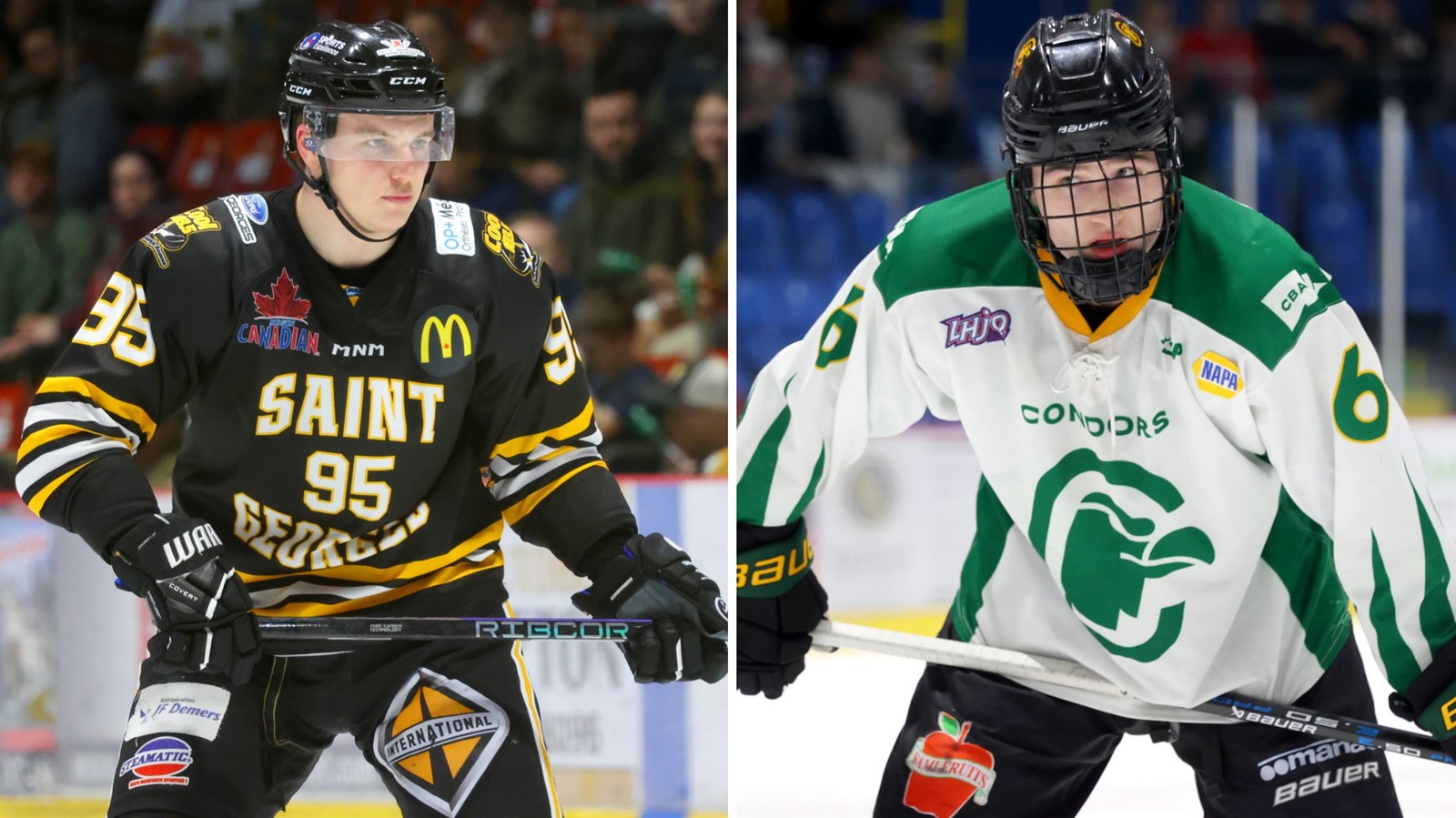 Soirée de séries à Saint-Georges : le Cool pour l’avantage, les Condors pour leur survie