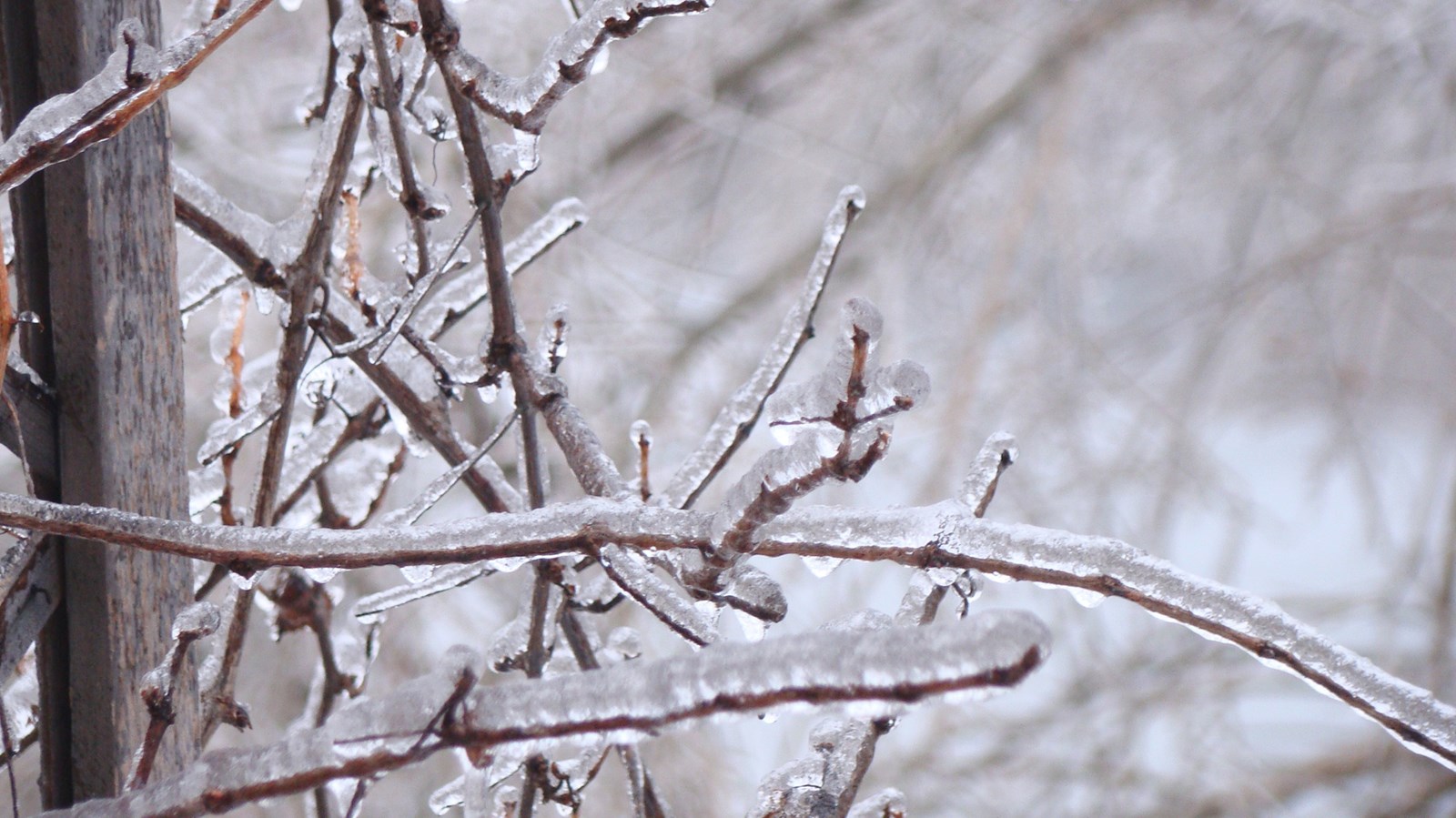 Pluie verglaçante attendue en Beauce : prudence sur les routes dès ce soir