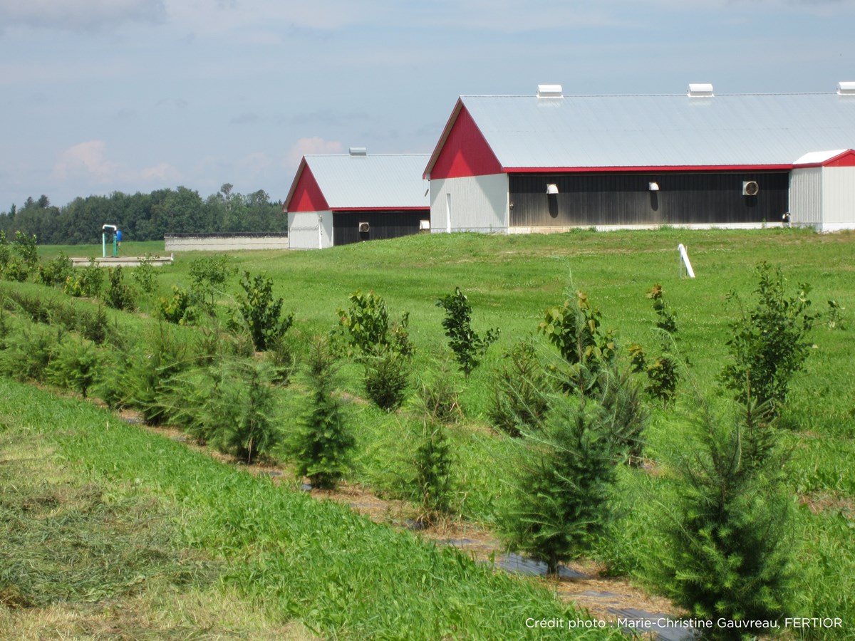 Des fermes de Chaudière-Appalaches mieux outillées face aux changements climatiques
