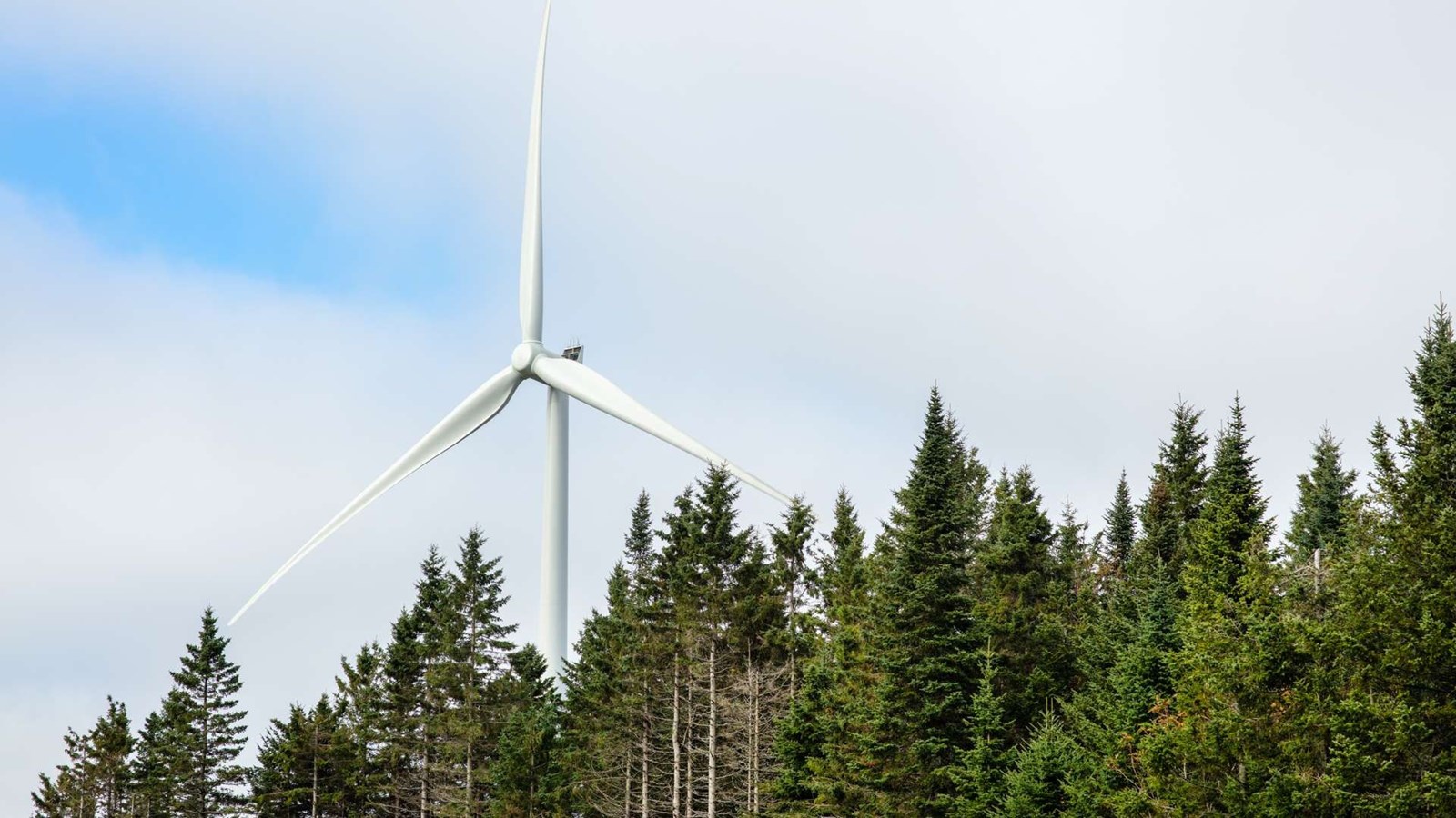 Prospection préliminaire pour un projet éolien dans les Appalaches