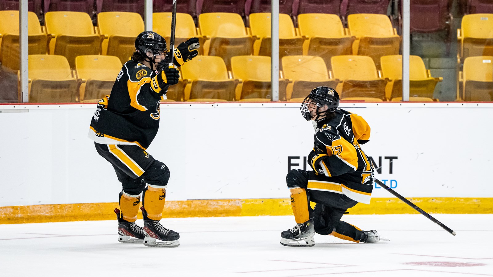Deuxième victoire à Chilliwack pour les Chevaliers