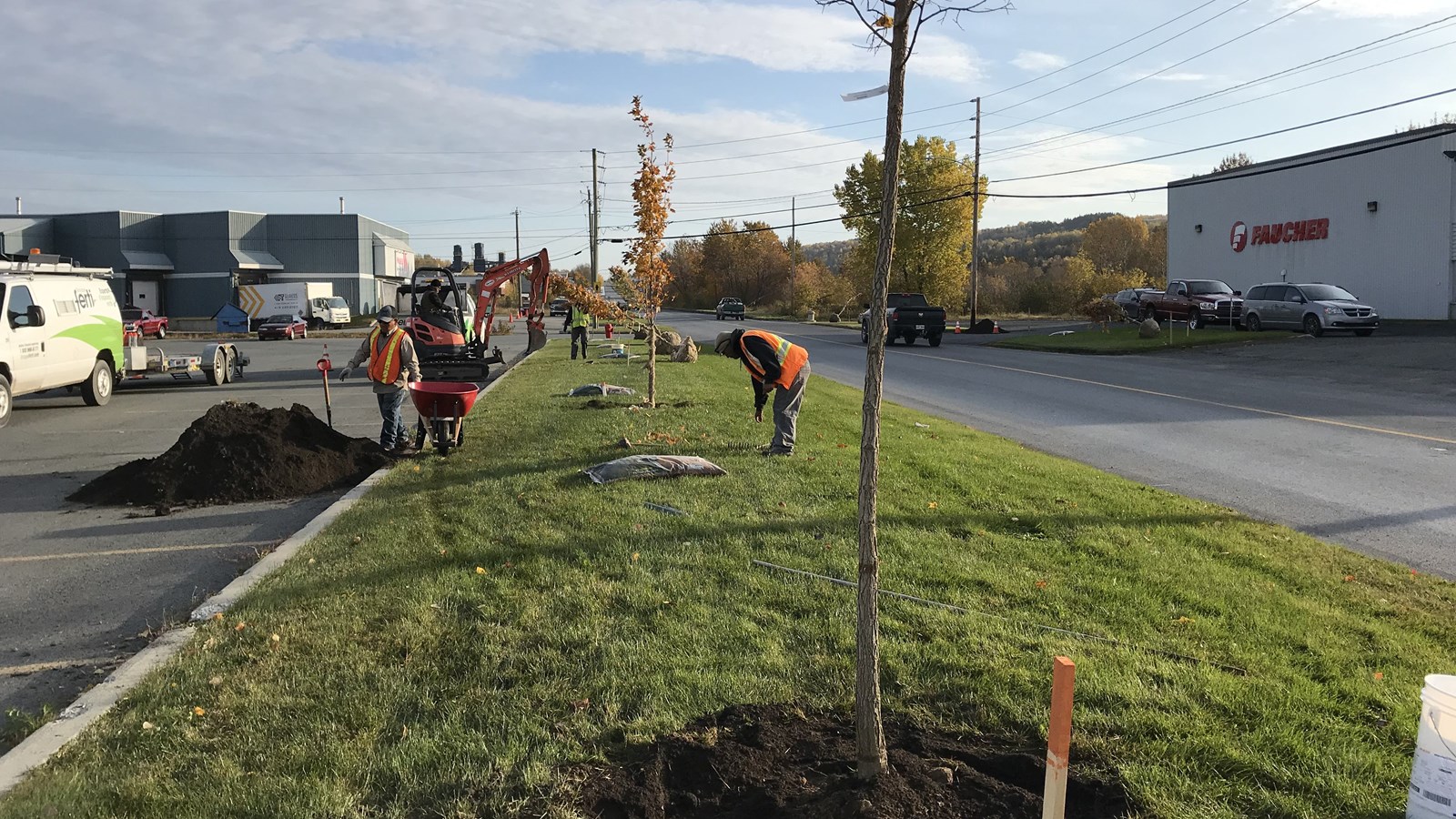 Retour du programme incitatif de verdissement à Saint-Georges