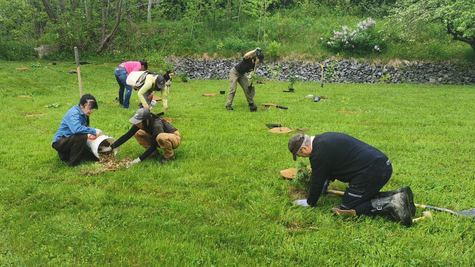 Des arbres plantés un peu trop «proches» au goût du maire Veilleux