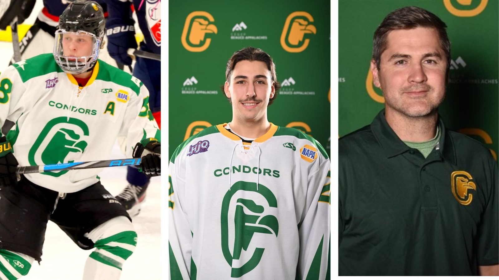 Quelques changements chez les Condors