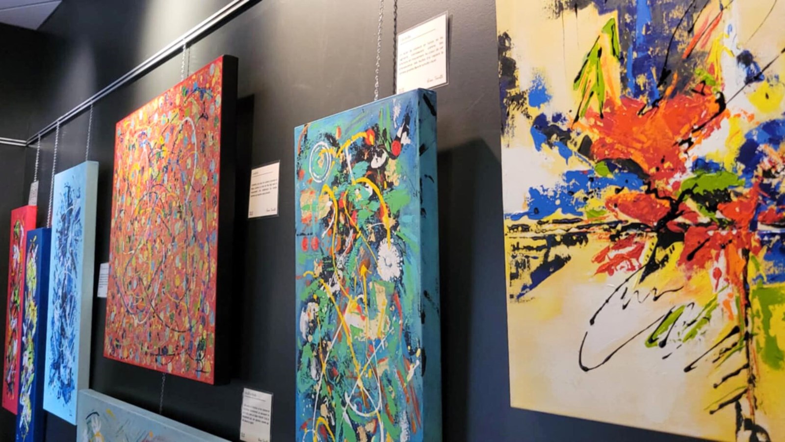 Exposition «Immersion» à la bibliothèque Madeleine-Doyon