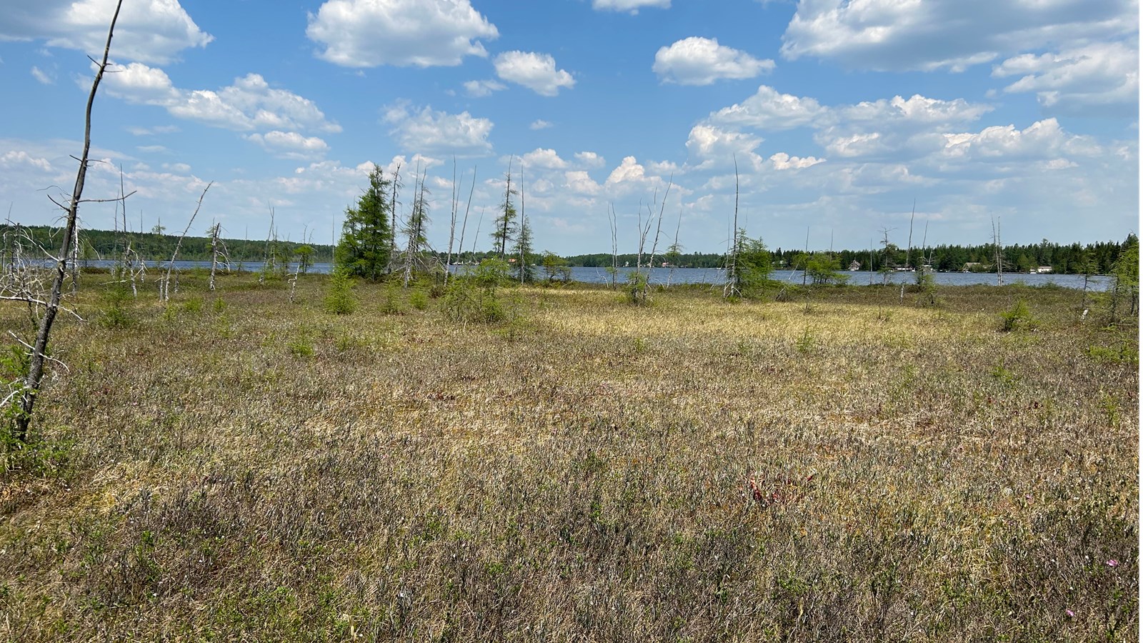 La MRC des Etchemins renforce la protection de ses terres