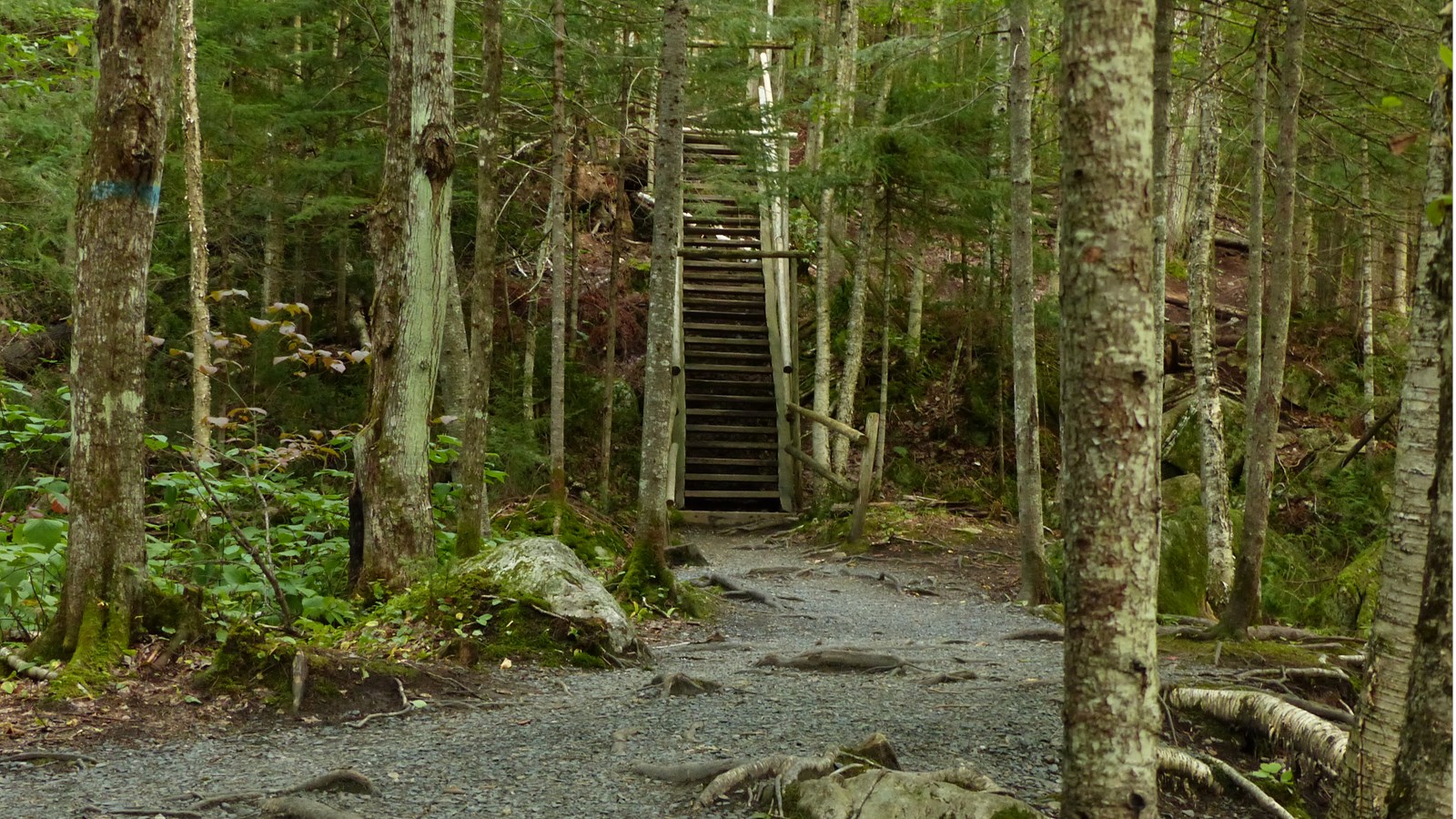 Fermeture temporaire d’un segment de sentier au parc des Sept-Chutes