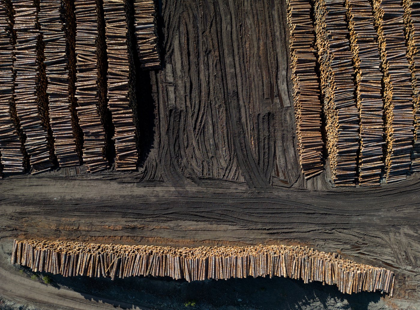 Craintes face aux droits de douane rétroactifs des États-Unis sur le bois canadien