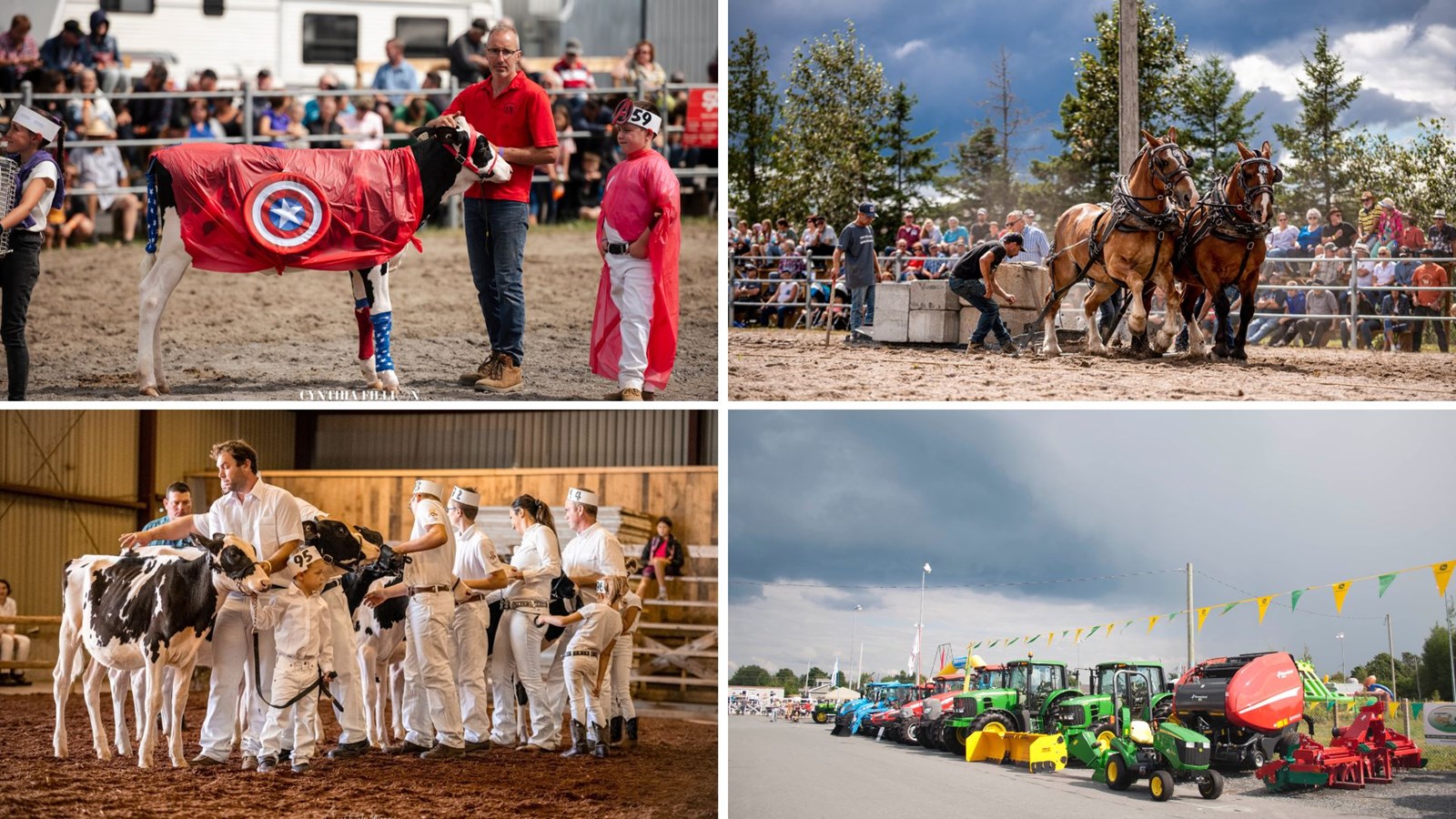 L'Expo agricole de Beauce commence aujourd'hui!