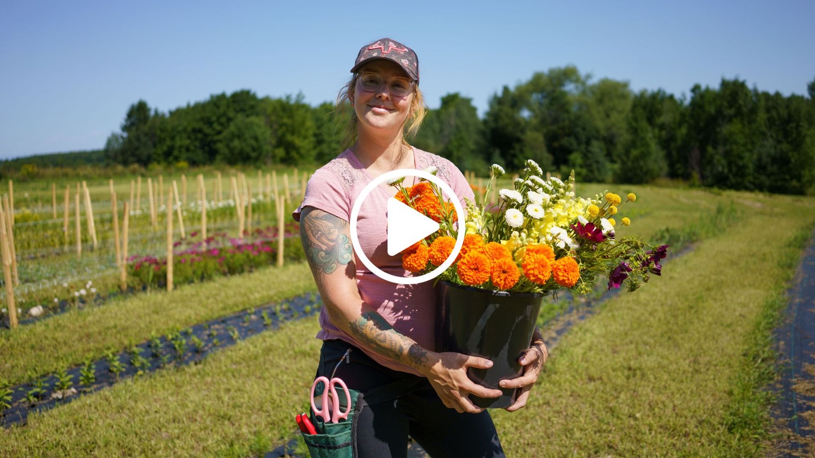 Roanie Ferme Florale: des fleurs cultivées avec passion
