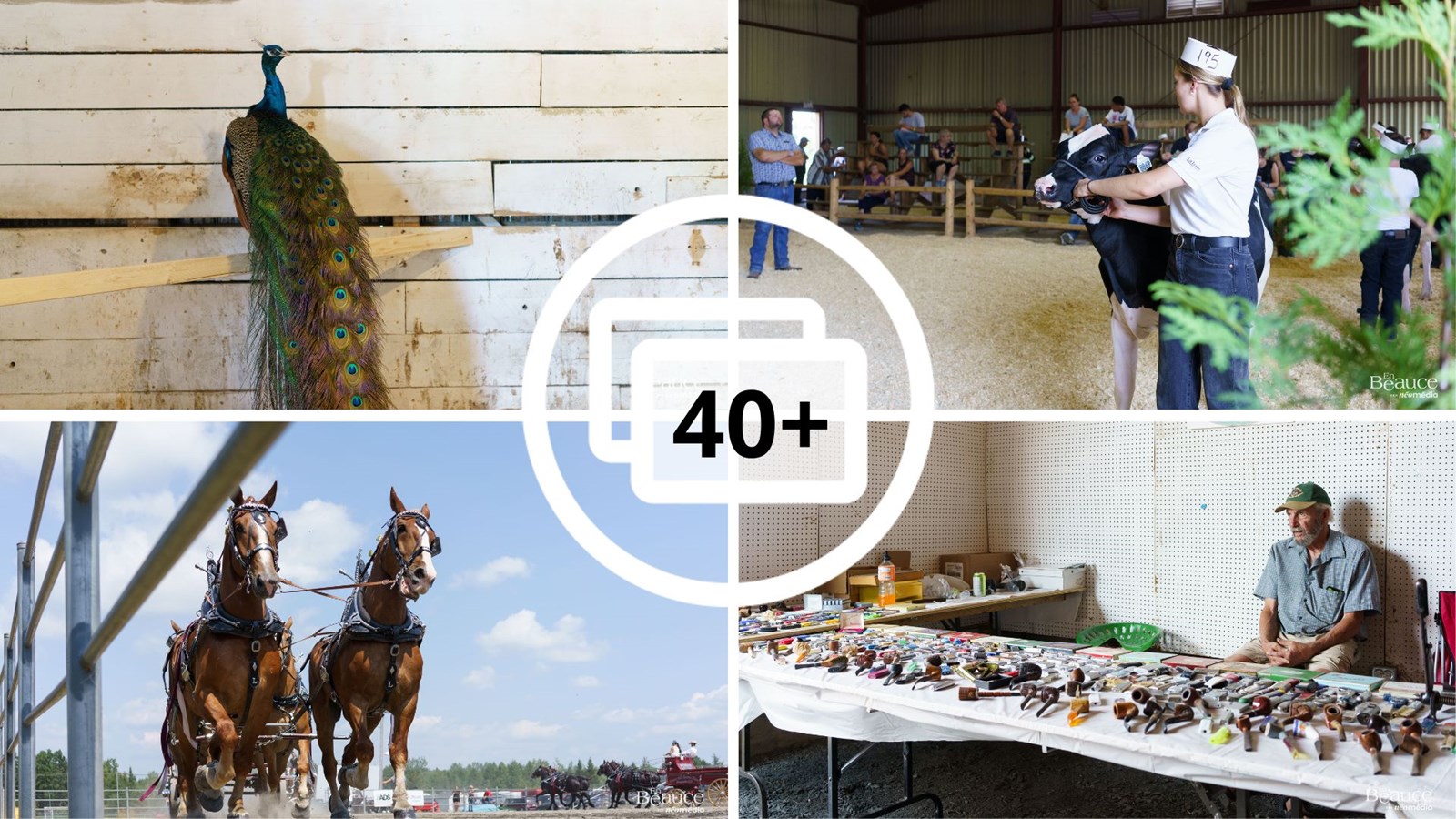 Retour en images sur l'Expo agricole de Beauce