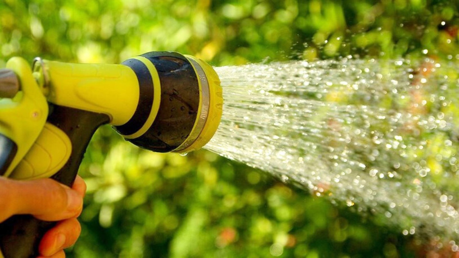 Interdiction d’arrosage à La Guadeloupe