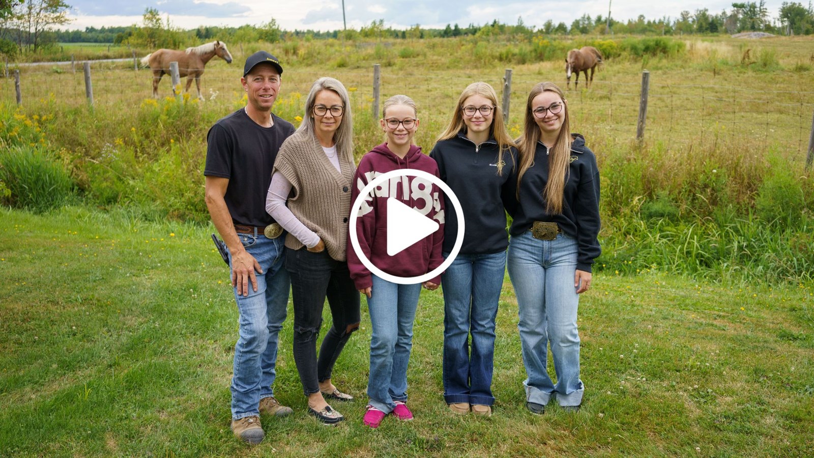 À l'Écurie MJ, le quotidien est rythmé par les chevaux